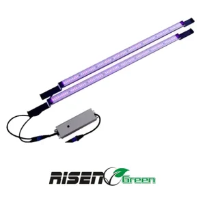 Barra LED UV+IR RISENGreen