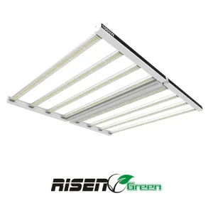 Foco 1000W LED PRO LIGHTING RISENGreen vista lateral