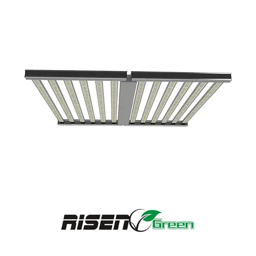 Foco 1500W LED PRO LIGHTING RISENGreen vista frontal