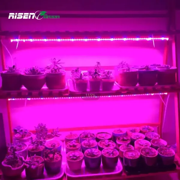 Tubo LED Propagación T8 28W (Especial Esquejes y Germinación) - Imagen 7