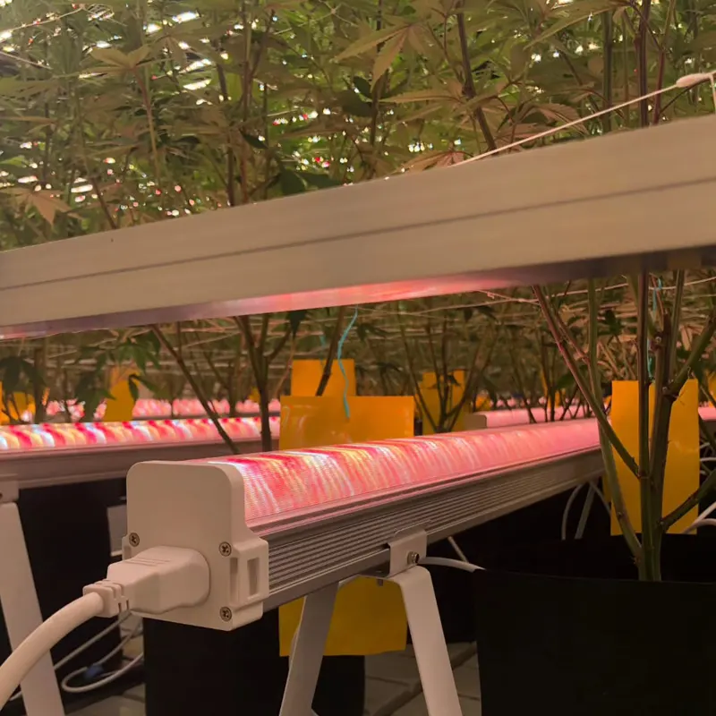 LED Under Canopy Risen Green 250W (Pack de 2 Barras x 125W) - Imagen 3