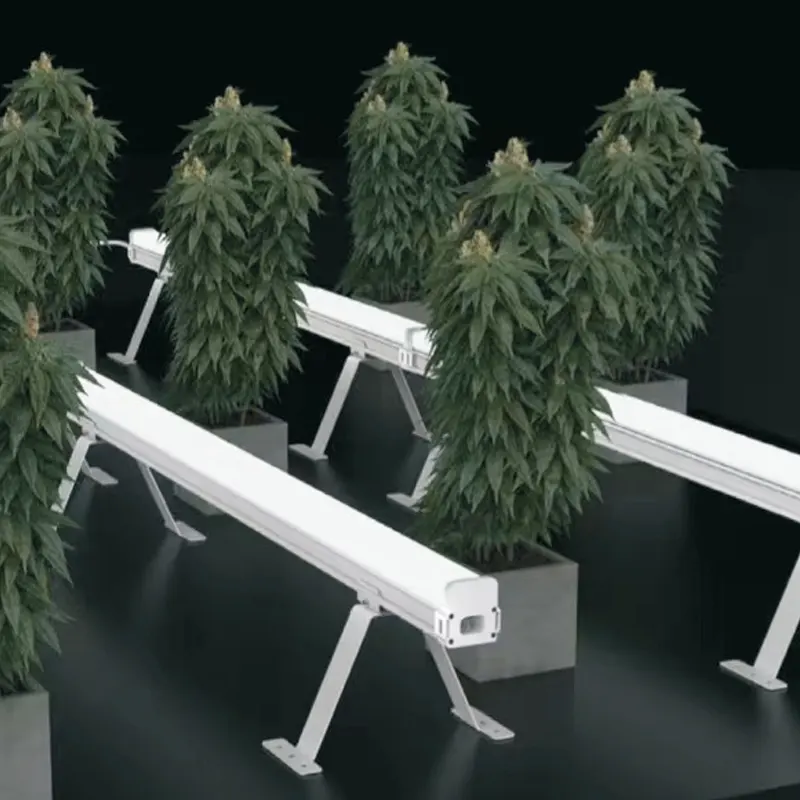 LED Under Canopy Risen Green 250W (Pack de 2 Barras x 125W) - Imagen 2